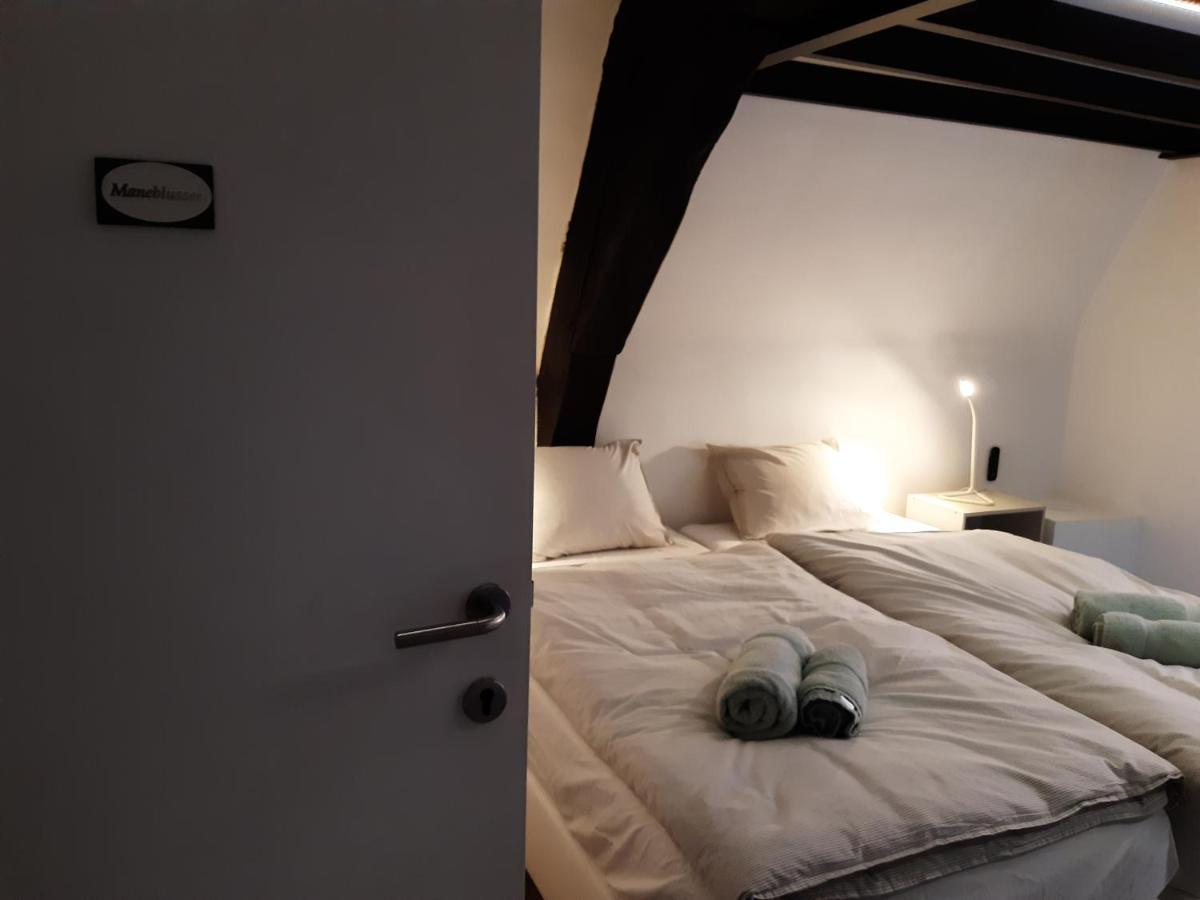 Het Maelslot Apartment Mechelen Bagian luar foto